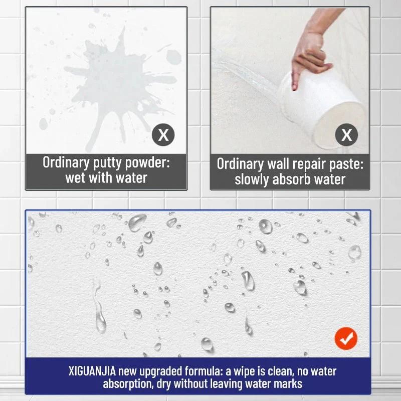 Waterproof Mildew Resistant Wall Repair Paste 100 gm (Pack of 1)